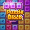 Puzzle block