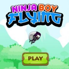 Ninja Boy Flying